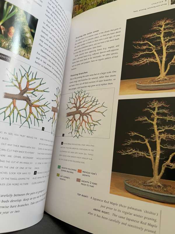 Bonsai trees books x3