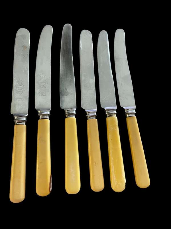 Knives bone handled(G)