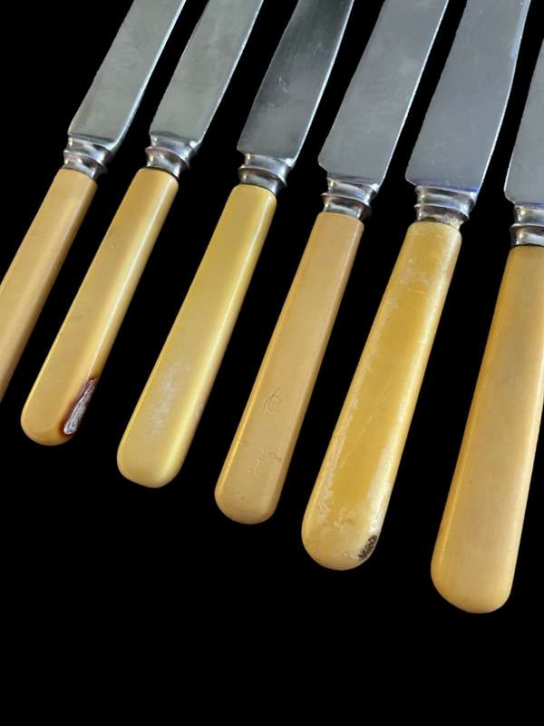 Knives bone handled(G)