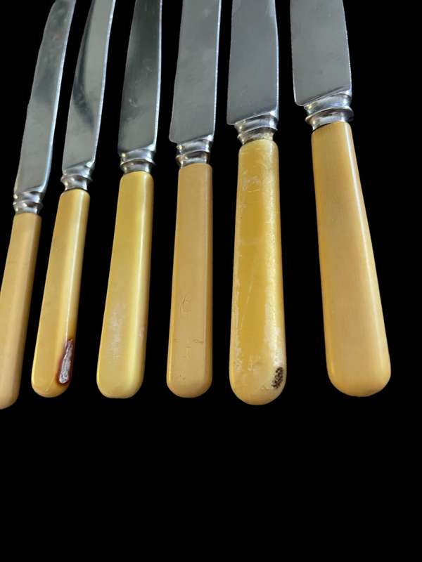 Knives bone handled(G)