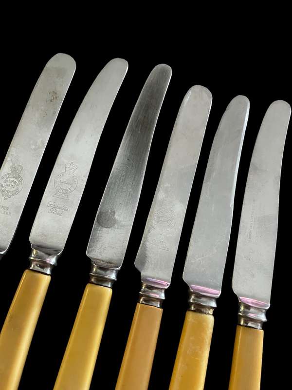 Knives bone handled(G)