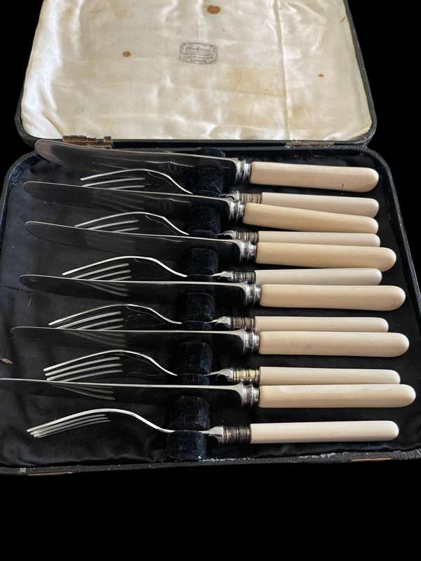 Forks/knives bone handled