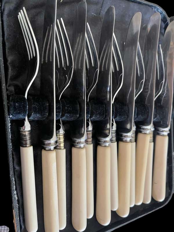 Forks/knives bone handled