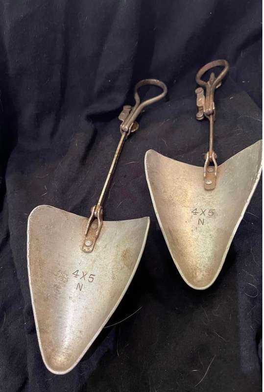Shoe horn