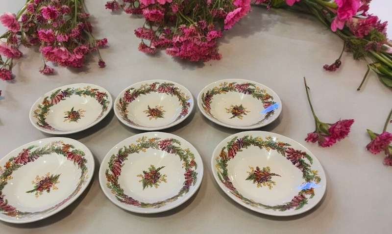 Dessert/pudding bowls  Spode x6