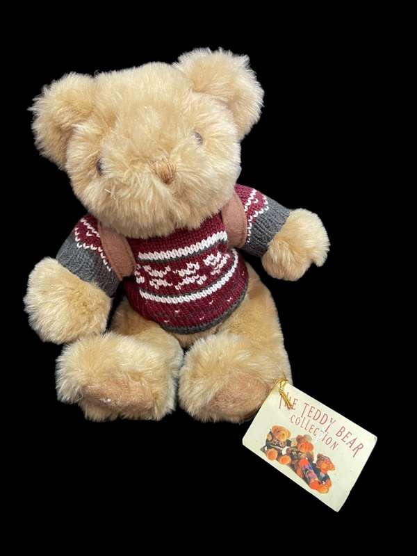 Teddy(Nr1)