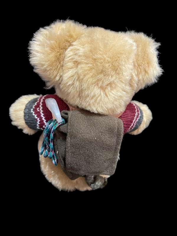 Teddy(Nr1)