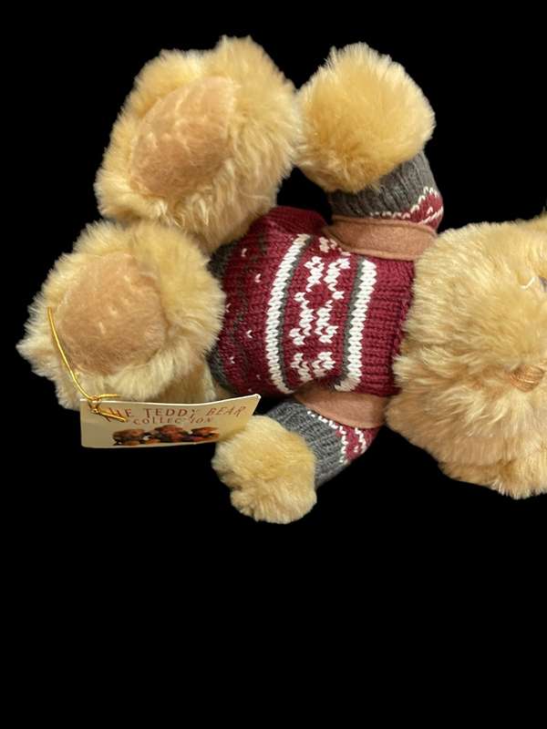 Teddy(Nr1)