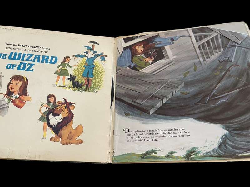 Record/lp Wizard of Oz vinyl record/lp& book