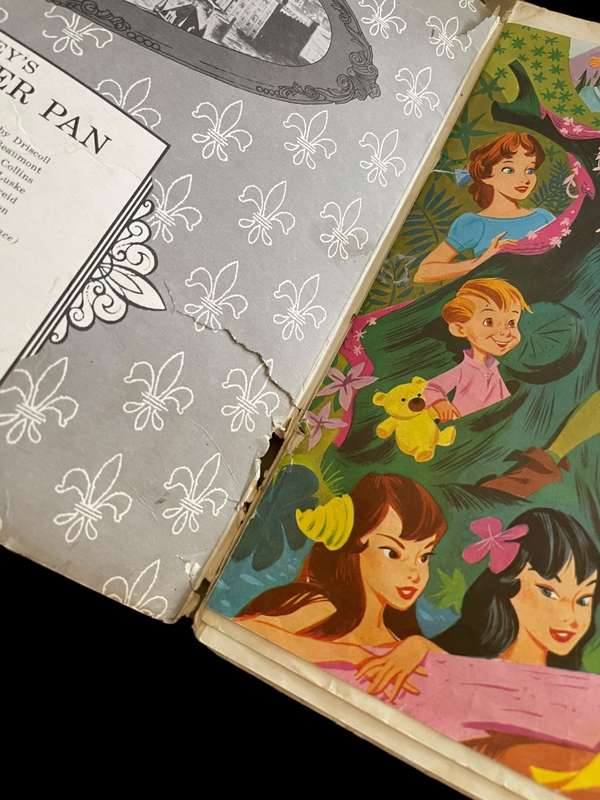 Record/lp Peter Pan vinyl lp& book