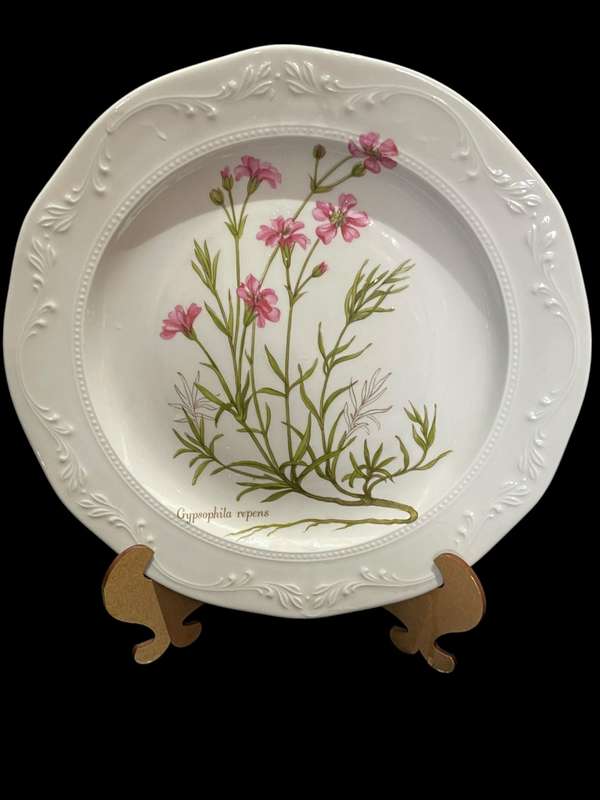Plate display
