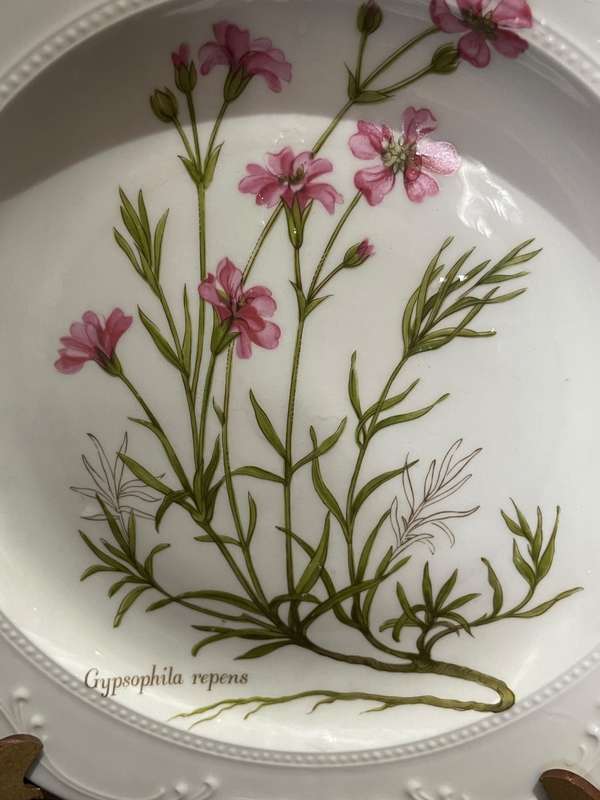 Plate display