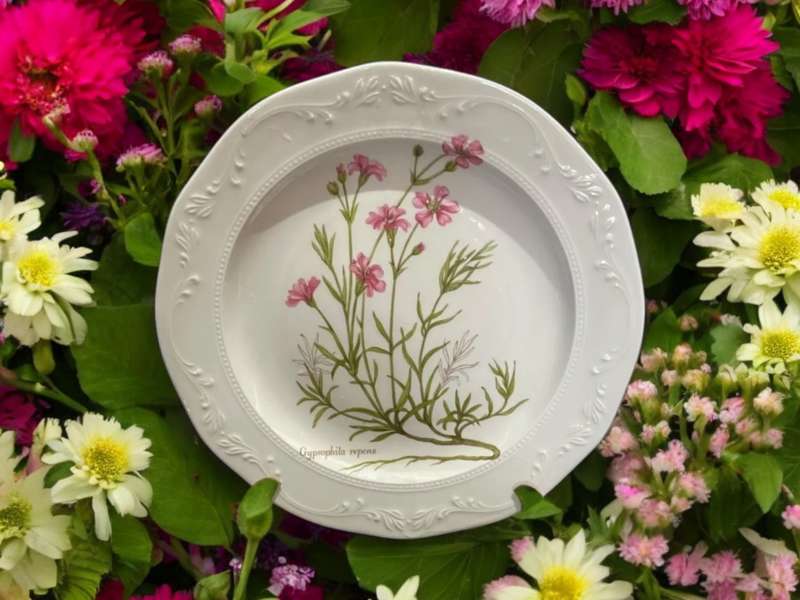 Plate display