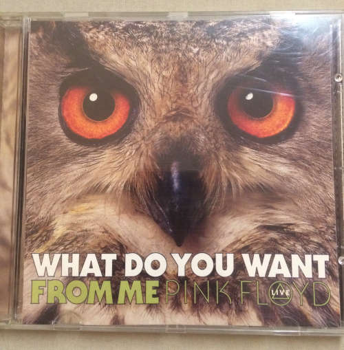 Pink Floyd - What Do You Want From  Me - CD Single Promo. Rare.