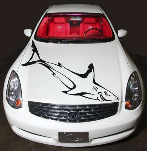 VINYL DECAL - SHARK FOR YOUR CAR - Various Sizes available