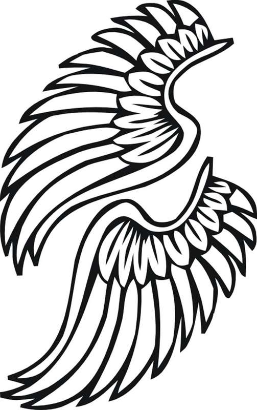 FREE SHIP/LOW COURIER - ANGEL WINGS WALL STICKER - XLRG 60+ COLOURS