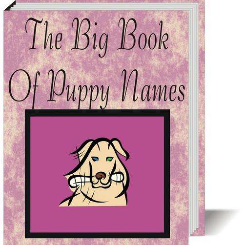 The Big Book of Puppy Names - Free Postage#