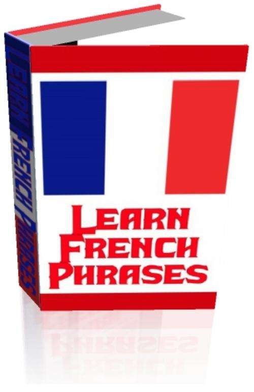 French Language Phrase Book - *Free Postage*