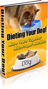 How To Successfully Diet your Dog + Free Postage
