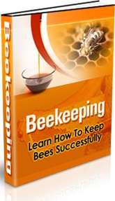 Start Your Own Beehive - FREE DELIVERY or Get 1000 FREE when ordering CD