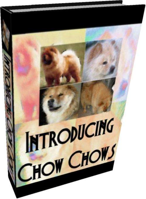 Introducing Chow Chows + Free Postage#