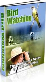 Birdwatching - Get 1000 Free if buying CD