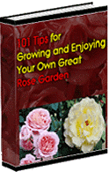 Grow and Enjoy Your Own Rose Garden + Free Ebooks on CD