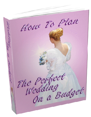 Planning A Wedding On A Budget - FREE DOWNLOAD/1000 FREE on CD - Events