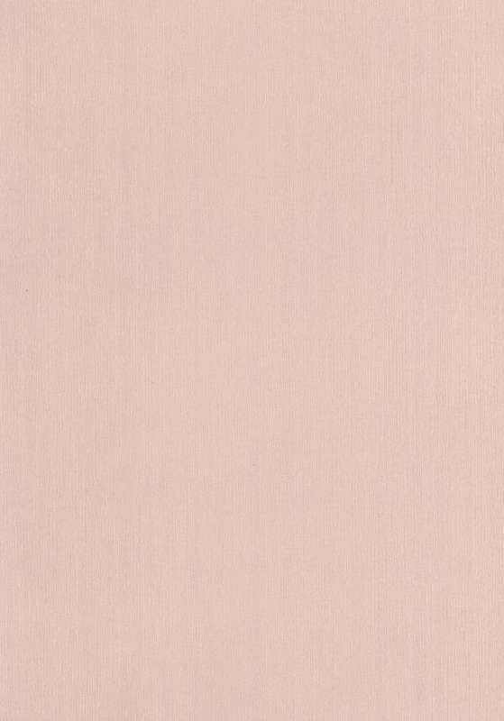 Beautiful Pearlescent Pale Gold/Beige Cardstock A4 - Crafts Scrapbooking