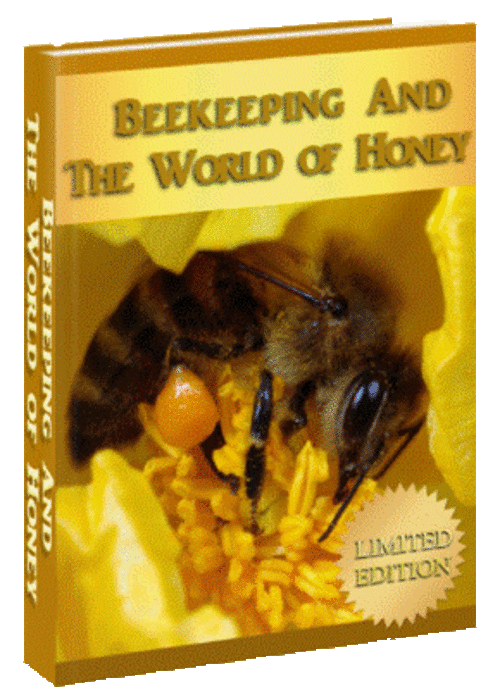 Beekeeping & Honey - FOR APPLE IPAD/GALAXY - FREE DOWNLOAD/1000 FREE on CD - Hobbies