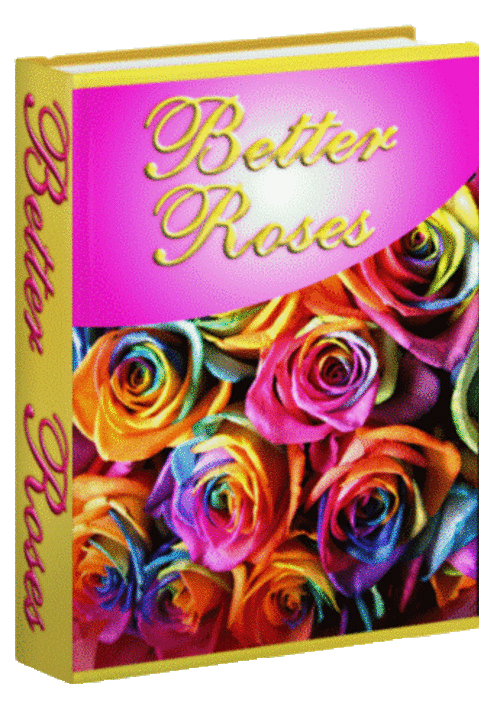 Better Roses - FREE DOWNLOAD/1000 FREE on CD - Garden, Hobbies