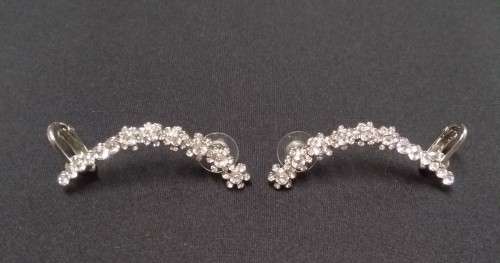 Rhodium and Rhinestones earrings