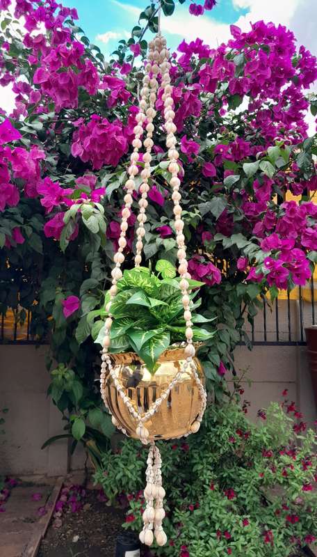Sea shell bead basket for pot plant handmade