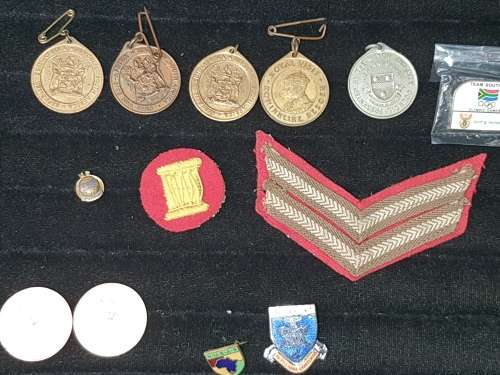 A COLLECTION OF MILITARY INSIGNIA AND OTHER BADGES SOLD AS IS