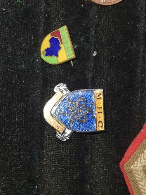 A COLLECTION OF MILITARY INSIGNIA AND OTHER BADGES SOLD AS IS