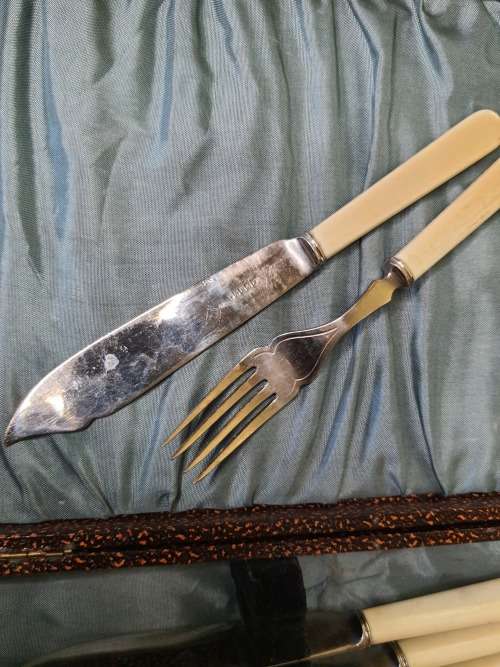 A VINTAGE FISH KNIFE AND FORK SET WITH BONE TYPE HANDES  EPNS AI STILL IN ITS ORIGINAL PADDED BOX S