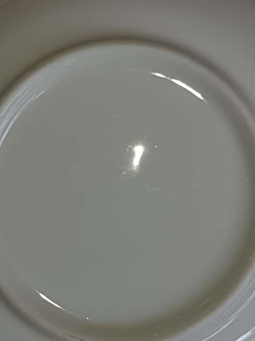 A COLLECTION OF CANOP`E PPRCELLAIN AND GLASS PLATES SOLD AS IS