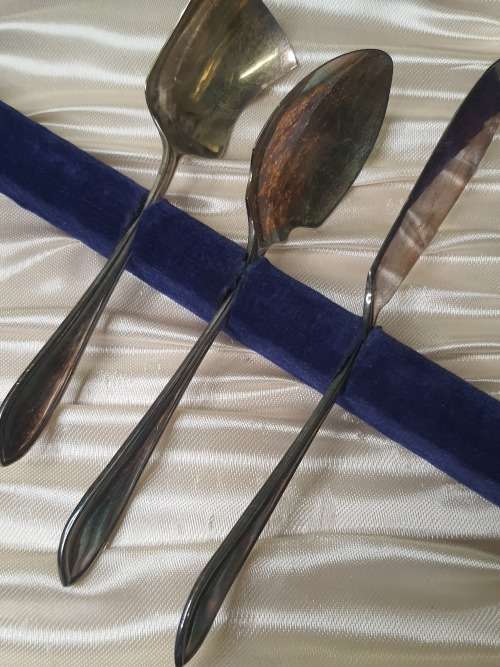 AN ANTIQUE DESERT CUTTLERY SET IN ITS ORIGINAL CASE SOLD AS IS