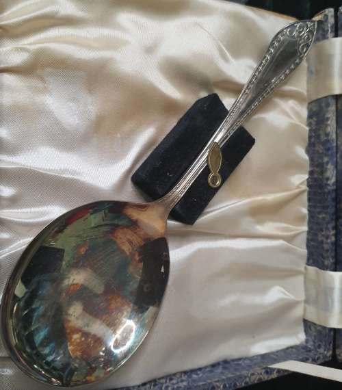 AN ANTTIQUE DESERT SPOONS AND A LADEL SET IN ITS ORIGINAL BOX