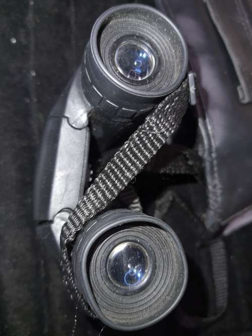 A BUSHNELL POCKET BINOCUARS SOLD AS IS