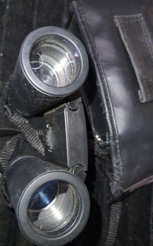 A BUSHNELL POCKET BINOCUARS SOLD AS IS