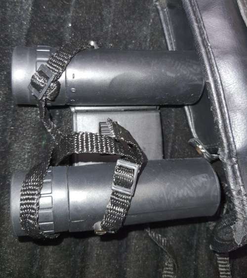 A BUSHNELL POCKET BINOCUARS SOLD AS IS