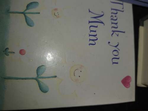 A joblot appreciation item for all the mothers sold as is