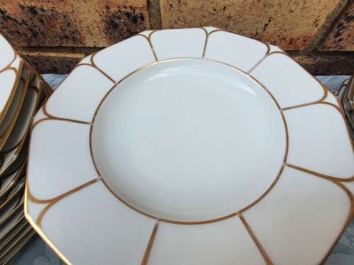 A COMPLETE BAVARIAN DINNER SET WITH GOLD TRIM IN GREAT CONDITION,