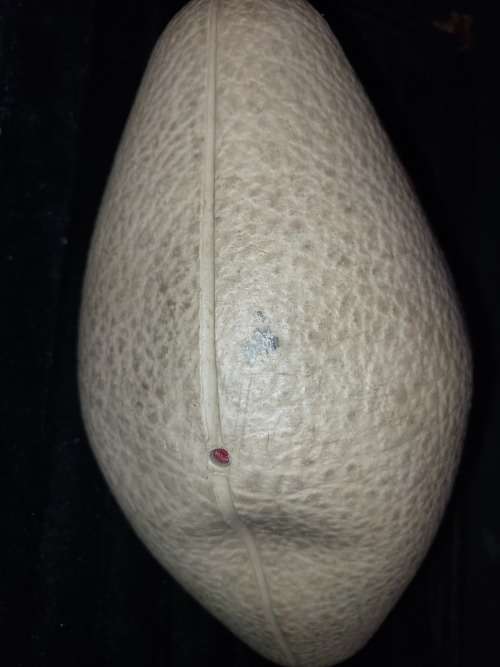 A COLLECTOR`S RUGBY BALL SOLD AS IS