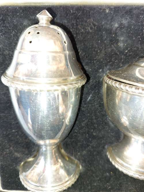A ANTIQUE COLLECTORS SALT AND PEPPER DISPENSERS SET IN ITS ORIGINAL CASE SOD AS IS