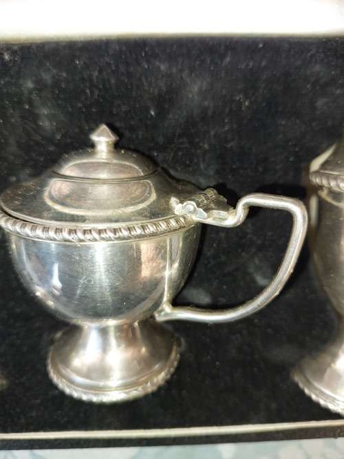 A ANTIQUE COLLECTORS SALT AND PEPPER DISPENSERS SET IN ITS ORIGINAL CASE SOD AS IS