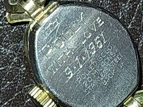 AN ANTIQUE WOMANS DELFIN INCABLOC GOLD PLATED WRIST WATCH SOLD AS IS