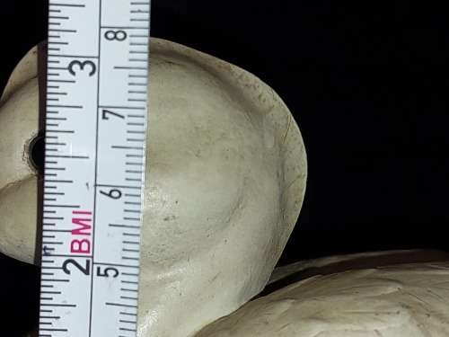 A RARE COLLECTION VINTAGE ELLI MALEVOLTI SCULPTURED MANDRIN DUCKS