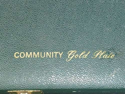 A VINTAGE FRUIT SPOONS COMMUNITY G/P IN A LEATHER-BOUND CASE